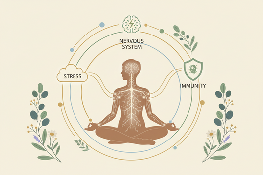 Manage Stress: How It Affects Your Nervous System and Immunity