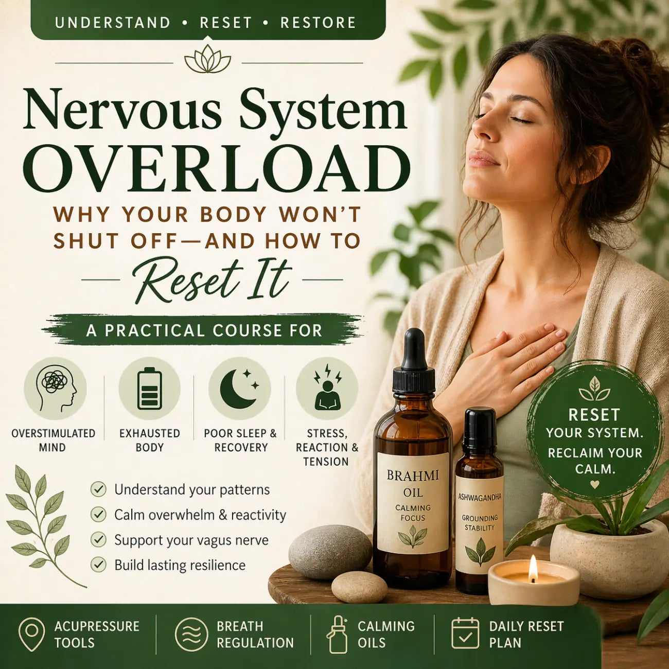 Nervous System Regulation: Practical Tools for Stress Management