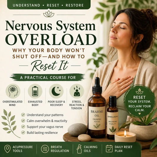 Nervous System Regulation: Practical Tools for Stress Management