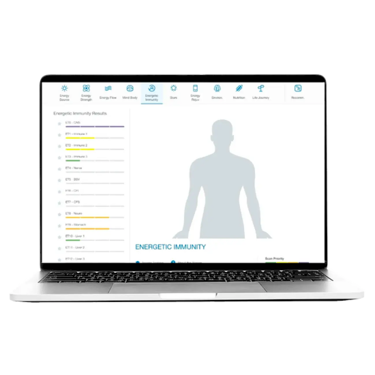 Personalized Energy Medicine Assessment - Energy Healing