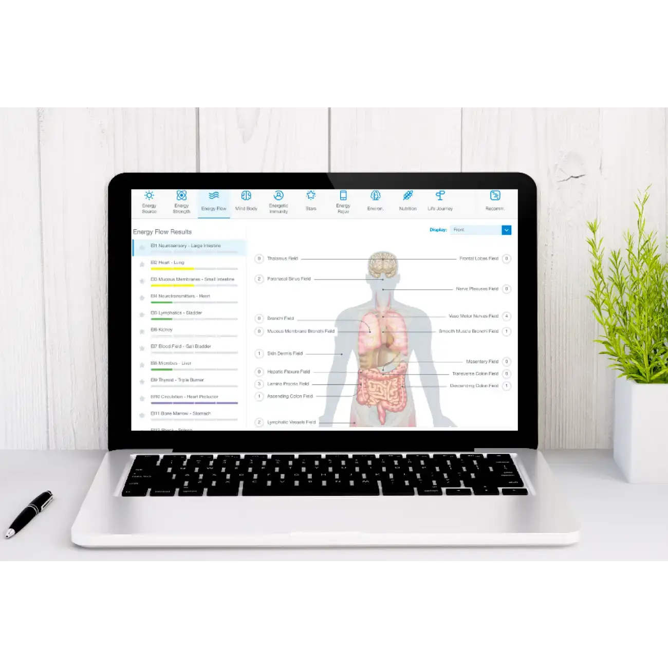 Nervous System Mapping & Bioenergetic Health Evaluation displayed on a laptop screen with health results and anatomical graphic.